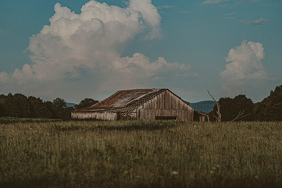 DSC05737-Edit-2