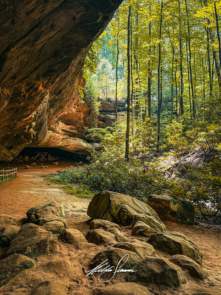 Pickett State Park