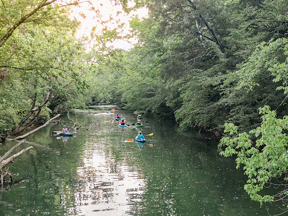 Kayaking near Daniel Boone
