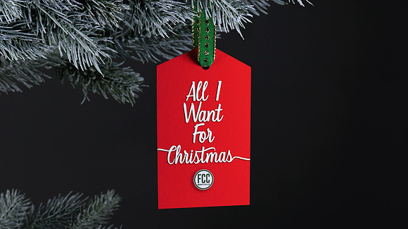 Christmas tag on tree