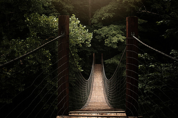 freedom swinging bridge