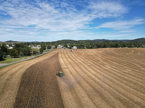 DJI_0596
