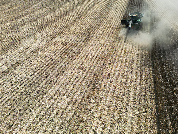 DJI_0622